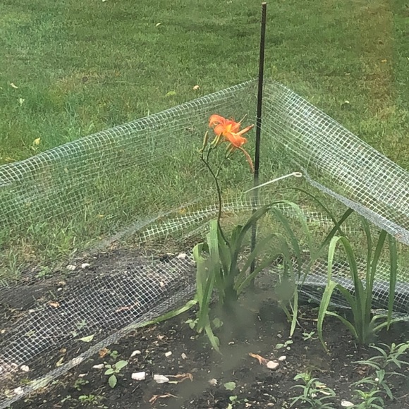 Meet your Posher, April - Picture 1 of 1